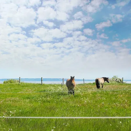 Am Wald - 03 Διαμέρισμα Glowe